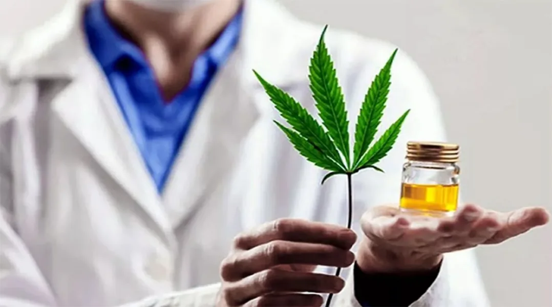 La Agencia Nacional de Cannabis impulsará su uso medicinal e industrial