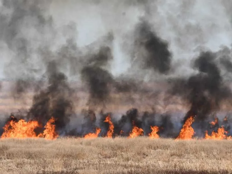 Ecocidio en el Delta: así se ve desde el dron de una brigadista el combate al fuego