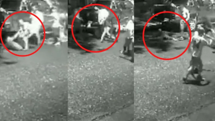 Video: brutal pelea a la salida de un boliche en Bahía Blanca