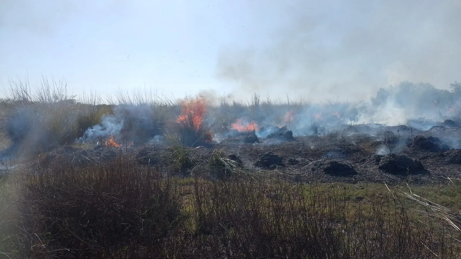 Lugareños ayudan a combatir las llamas en la Isla de los Mástiles, frente a Granadero Baigorria