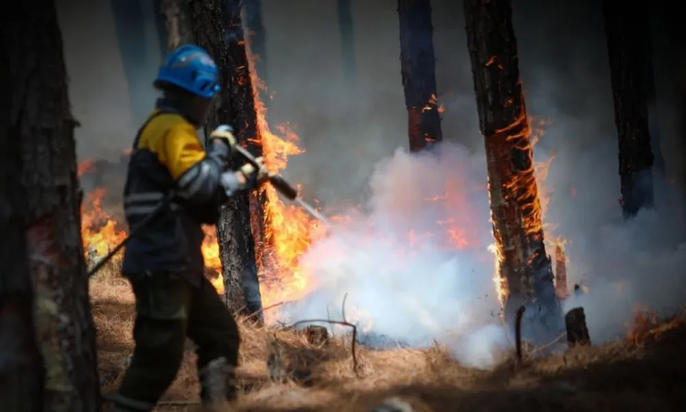 El gobierno creó una unidad de prevención de delitos ambientales