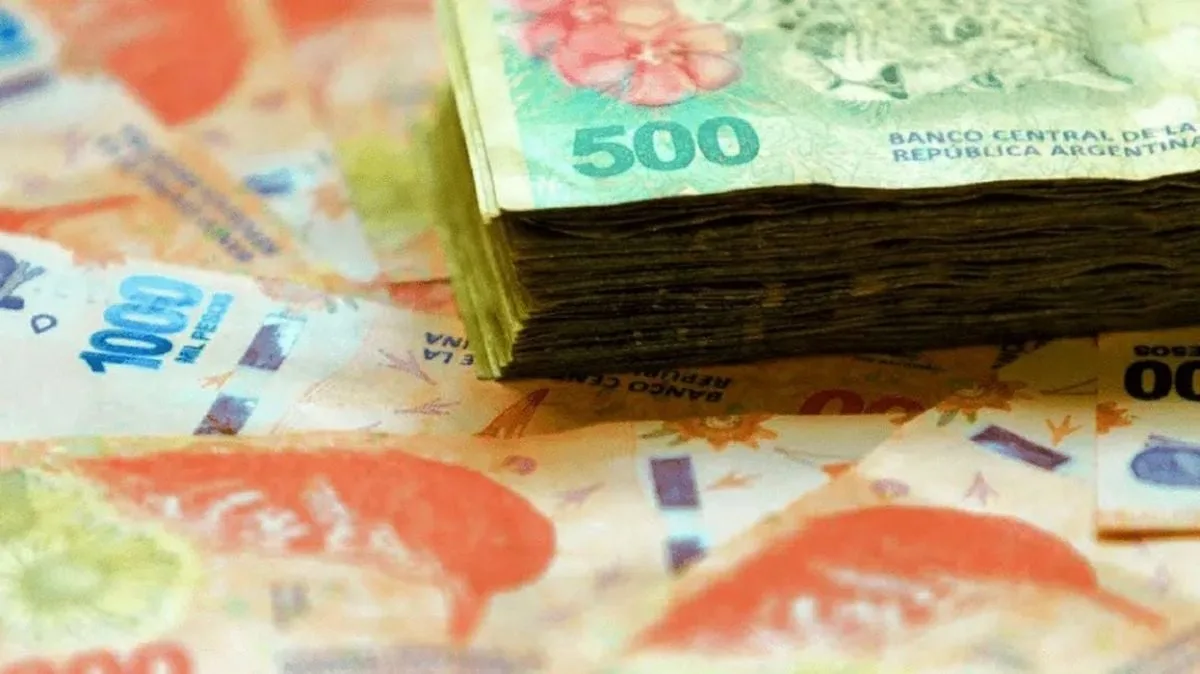 La Anses confirmó el pago de un bono de 7 a 10 mil pesos para el mes de febrero: quiénes lo reciben