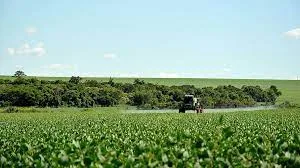 En Santa Fe confían en recuperar lotes de soja y maíz gracias a las lluvias