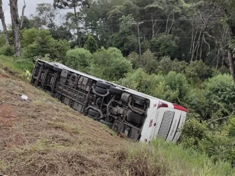 Siete muertos, cinco de ellos argentinos, al caer un ómnibus en un barranco en Brasil