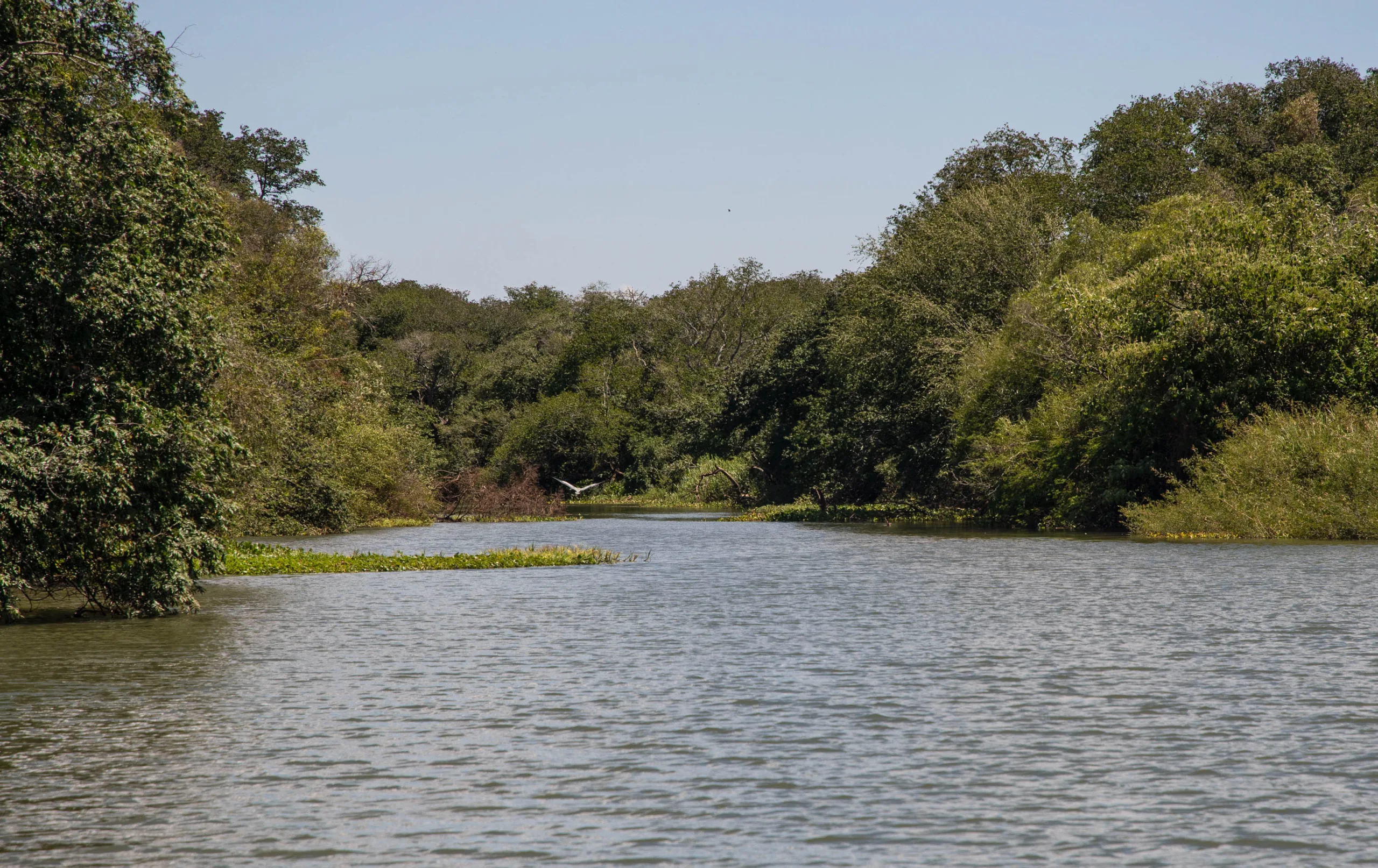 Impulsan un nuevo parque provincial en las islas del río Uruguay para proteger los humedales