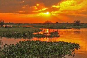 Otro paso para declarar reserva a Jaaukanigás, unas 130 mil hectáreas de biodiversidad en Santa Fe