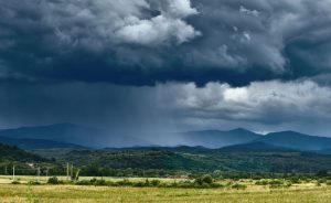 La inédita velocidad con que ocurren los cambios en la naturaleza