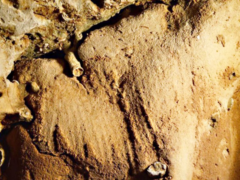 Descubren En Una Cueva Francesa Los Grabados Neandertales Más Antiguos ...