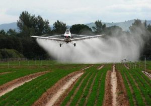 La concentración de agrotóxicos en Argentina es mayor que en Europa