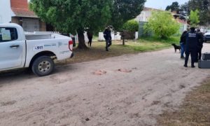 Mar del Plata: un joven mató a su hermano en medio de una pelea