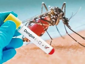 Crecen los casos de dengue en Rosario: zona oeste y noroeste, las más afectadas