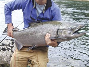 Hasta el salmón del Pacífico en el Paraná: pescadores hallan peces exóticos en el litoral argentino