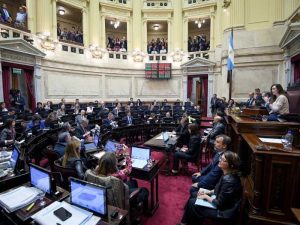 Ley de Bases y paquete fiscal: quiénes son los senadores que podrían inclinar la balanza en favor del gobierno en la votación general