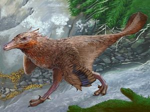 Descubren en Neuquén una nueva especie de dinosaurio carnívoro que vivió hace aproximadamente 83 millones de años