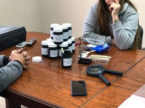 Dengue: colocan trampas para detectar huevos de mosquito y establecer alertas tempranas