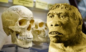 Descubren una nueva especie humana que vivió hace 200 mil años, fabricaba herramientas y procesaba pieles para protegerse