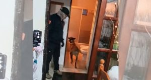 Dos detenidos en Pergamino por la desaparición de Sofía Delgado en San Lorenzo