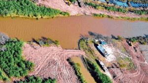 Organizaciones ambientales de Rosario y Victoria explicaron por qué es necesario mantener la cautelar que protege las islas