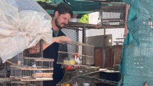 La Municipalidad de Rosario secuestró más de 70 aves silvestres