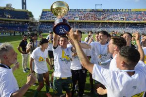 Aldosivi derrotó a San Martín de Tucumán y logró el ascenso a primera