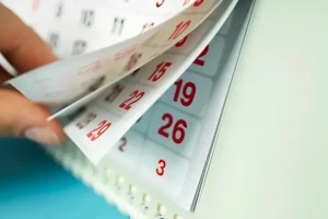 Calendario de Feriados 2025: ¿cuántos fines de semana largos hay en el año?
