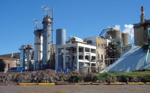 La Justicia ordena a Celulosa que haga supervisar por las autoridades la calidad del aire en su entorno y sus emisiones gaseosas