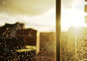 Un domingo que arranca con sol y podría terminar con lluvia