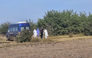 En la madrugada de este viernes encontraron el cuerpo de Sofía Delgado en un camino rural de Ricardone