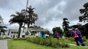Comenzó el armado del tradicional árbol de Navidad de avenida Pellegrini y bulevar Oroño