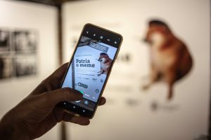 De qué se trata la jornada de memes y reflexión "Destripando a Pepe The Frog"