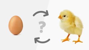 Fin de misterio sobre si estuvo primero el huevo o la gallina: científicos llegaron a una conclusión