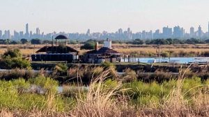 La Justicia federal de Paraná define si dos ganaderos rosarinos que hicieron desastres en el Humedal van a juicio oral