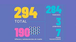 Se registraron 294 femicidios en la Argentina durante el 2024