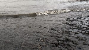 Claudia Vázquez presenta su libro "Una estela en el agua opaca"