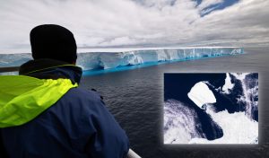 El iceberg más grande del mundo volvió a liberarse y navega hacia aguas cálidas con consecuencias impredecibles