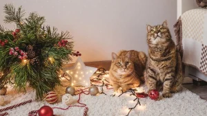 Por qué los gatos odian el arbolito de Navidad y cómo evitar que lo tiren