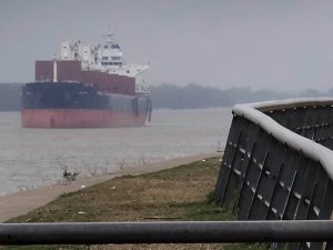 Diciembre arrancó con un domingo gris y posibles precipitaciones