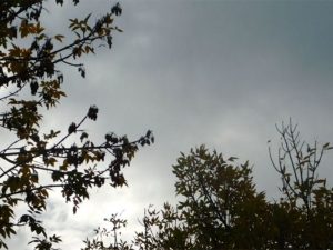 Nochebuena: chaparrones en la mañana de este martes y a partir de la tarde el cielo estará parcialmente nublado