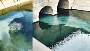 Manchas de contaminación: reclaman que se investigue quién vuelca residuos orgánicos los sábados y domingos en el Ludueña