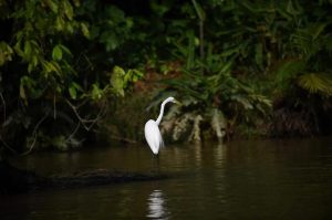Brasil ofrecerá ecoturismo y etnoturismo en territorios indígenas
