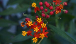 Maldición, va a ser un día hermoso: un miércoles redondito