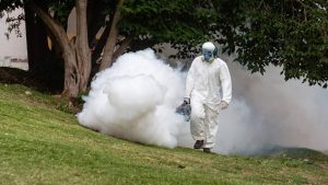 Fumigación: el municipio continúa con los operativos periódicos en parques, plazas y espacios verdes de Rosario