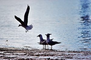 Una semana de verano partida al medio por tormenta de un día