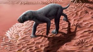 Sin pelo, sin orejas, con dientes de sable y que ponía huevos: hallaron el antepasado más antiguo de los perros