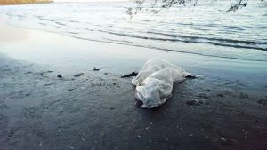 Hallaron a un pescador muerto en la playa de Berisso