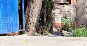 Un adolescente, de 14 años, fue baleado en la cabeza en la zona norte de la ciudad