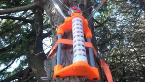 Ya no sería necesario talar un árbol para leña, hasta de pie puede generar energía