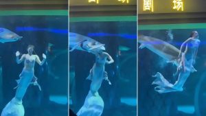 Terror durante un show acuático en China: un esturión atacó a una joven disfrazada de sirena