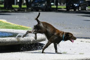 Martes con mucho calor y cielo de algo a parcialmente nublado