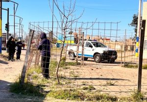 Más controles: la Municipalidad liberó 62 terrenos y espacios públicos en 2024